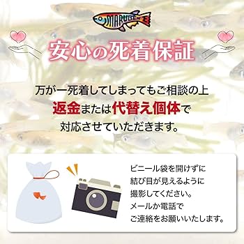 魚のおじさん【美品】心理測定尺度集セットⅠ～Ⅵ 魚のおじさん【美品】心理測定尺度集セットⅠ～Ⅵ 魚のおじさん